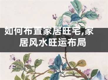 如何布置家居旺宅,家居风水旺运布局