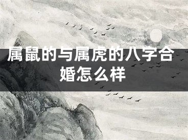 属鼠的与属虎的八字合婚怎么样