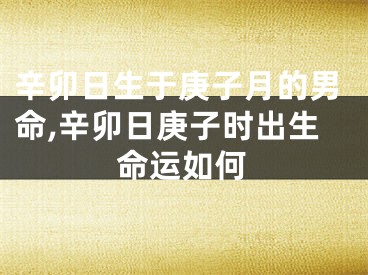 辛卯日生于庚子月的男命,辛卯日庚子时出生命运如何