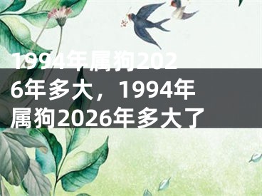 1994年属狗2026年多大,1994年属狗2026年多大了