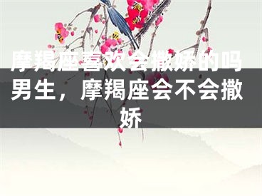 摩羯座喜欢会撒娇的吗男生，摩羯座会不会撒娇