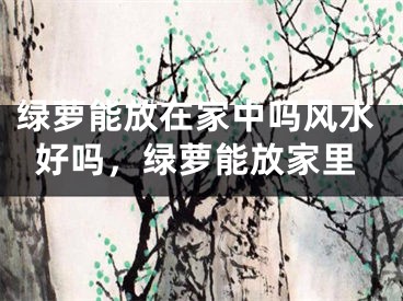 绿萝能放在家中吗风水好吗,绿萝能放家里