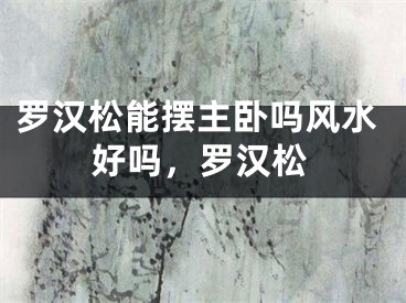 罗汉松能摆主卧吗风水好吗，罗汉松