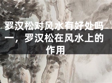 罗汉松对风水有好处吗一，罗汉松在风水上的作用