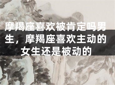 摩羯座喜欢被肯定吗男生，摩羯座喜欢主动的女生还是被动的