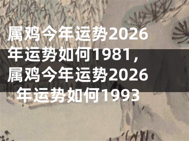 属鸡今年运势2026年运势如何1981,属鸡今年运势2026年运势如何1993