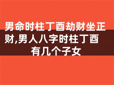 男命时柱丁酉劫财坐正财,男人八字时柱丁酉有几个子女