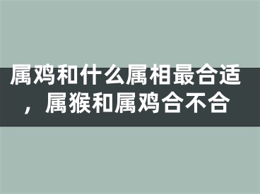 属鸡和什么属相最合适，属猴和属鸡合不合