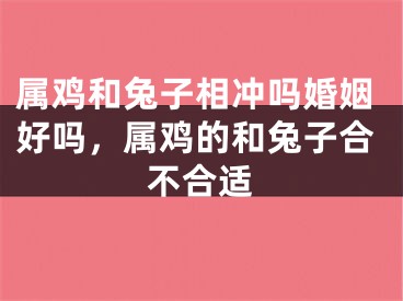 属鸡和兔子相冲吗婚姻好吗,属鸡的和兔子合不合适