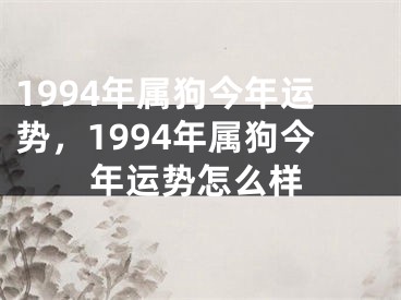 1994年属狗今年运势，1994年属狗今年运势怎么样