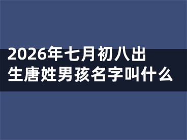 2026年七月初八出生唐姓男孩名字叫什么