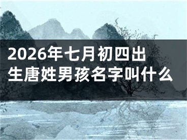 2026年七月初四出生唐姓男孩名字叫什么