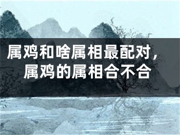 属鸡和啥属相最配对，属鸡的属相合不合