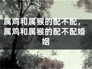 属鸡和属猴的配不配,属鸡和属猴的配不配婚姻
