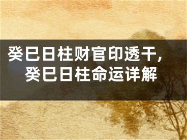 癸巳日柱财官印透干,癸巳日柱命运详解