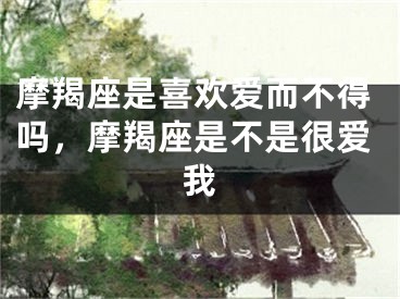 摩羯座是喜欢爱而不得吗,摩羯座是不是很爱我