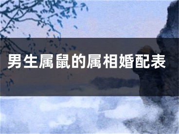 男生属鼠的属相婚配表
