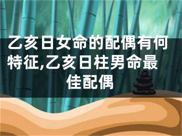 乙亥日女命的配偶有何特征,乙亥日柱男命最佳配偶