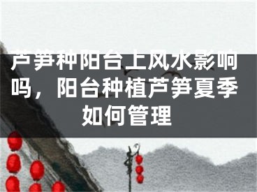 芦笋种阳台上风水影响吗，阳台种植芦笋夏季如何管理