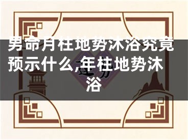 男命月柱地势沐浴究竟预示什么,年柱地势沐浴