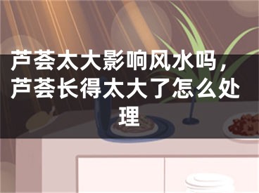 芦荟太大影响风水吗,芦荟长得太大了怎么处理