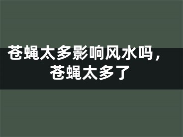 苍蝇太多影响风水吗,苍蝇太多了