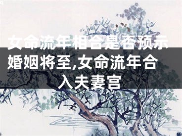 女命流年相合是否预示婚姻将至,女命流年合入夫妻宫