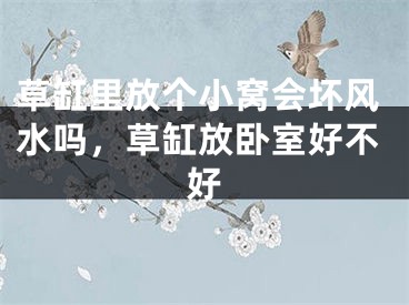 草缸里放个小窝会坏风水吗，草缸放卧室好不好