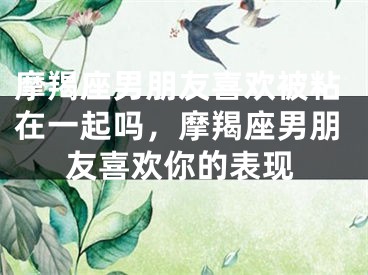 摩羯座男朋友喜欢被粘在一起吗,摩羯座男朋友喜欢你的表现