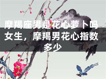 摩羯座男是花心萝卜吗女生,摩羯男花心指数多少