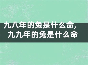 九八年的兔是什么命,九九年的兔是什么命