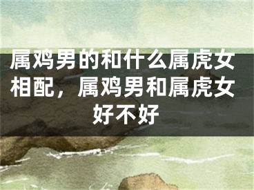 属鸡男的和什么属虎女相配,属鸡男和属虎女好不好