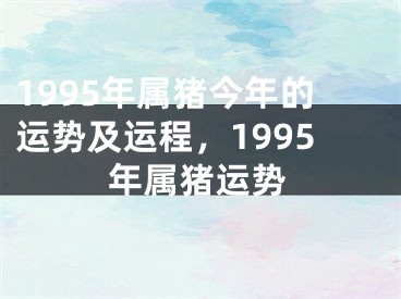 1995年属猪今年的运势及运程，1995年属猪运势