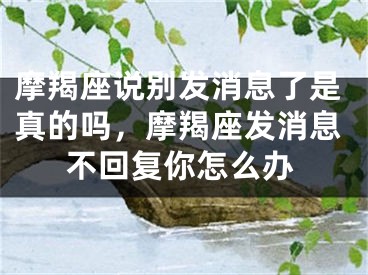 摩羯座说别发消息了是真的吗,摩羯座发消息不回复你怎么办
