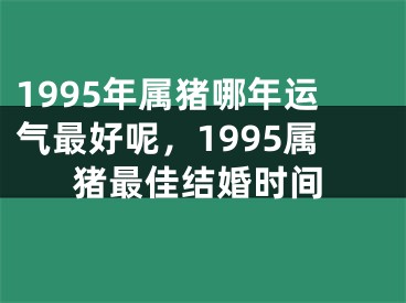 1995年属猪哪年运气最好呢，1995属猪最佳结婚时间