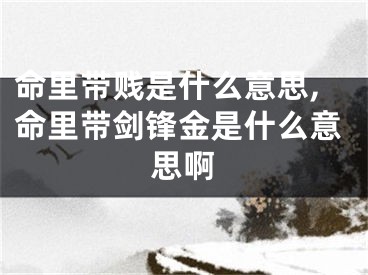 命里带贱是什么意思,命里带剑锋金是什么意思啊