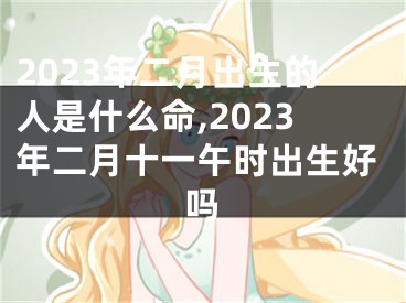2023年二月出生的人是什么命,2023年二月十一午时出生好吗