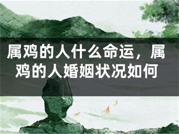 属鸡的人什么命运,属鸡的人婚姻状况如何