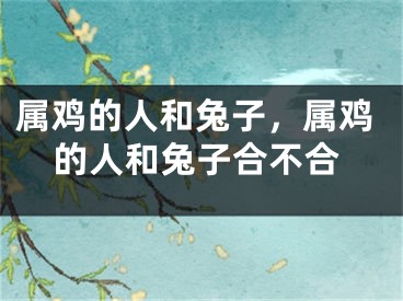 属鸡的人和兔子,属鸡的人和兔子合不合