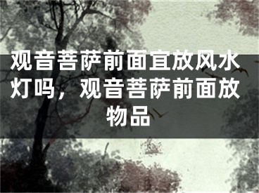 观音菩萨前面宜放风水灯吗,观音菩萨前面放物品