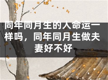 同年同月生的人命运一样吗,同年同月生做夫妻好不好
