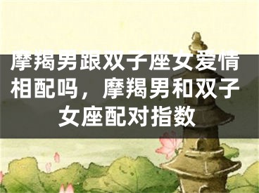 摩羯男跟双子座女爱情相配吗，摩羯男和双子女座配对指数