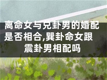 离命女与兑卦男的婚配是否相合,巽卦命女跟震卦男相配吗