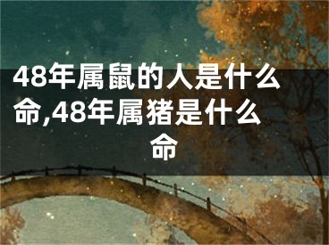 48年属鼠的人是什么命,48年属猪是什么命