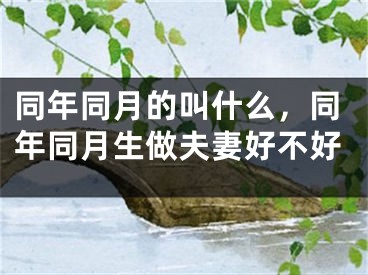 同年同月的叫什么,同年同月生做夫妻好不好