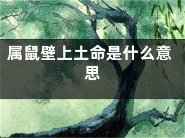 属鼠壁上土命是什么意思