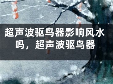 超声波驱鸟器影响风水吗,超声波驱鸟器