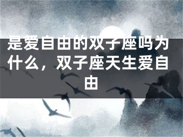 是爱自由的双子座吗为什么,双子座天生爱自由
