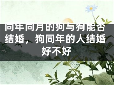 同年同月的狗与狗能否结婚,狗同年的人结婚好不好