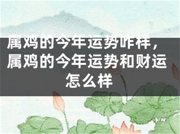 属鸡的今年运势咋样,属鸡的今年运势和财运怎么样